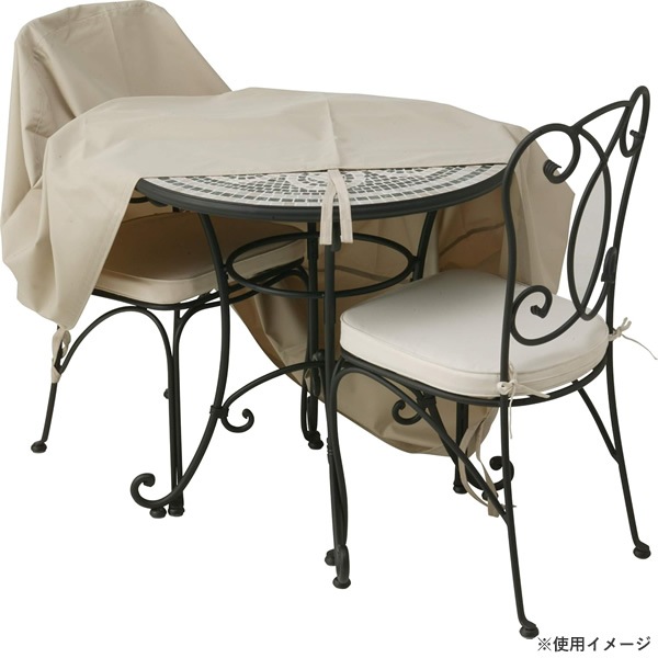 硼 ե˥㡼С ӥȥ ACT-FC3ڴ͹̵(Υ)