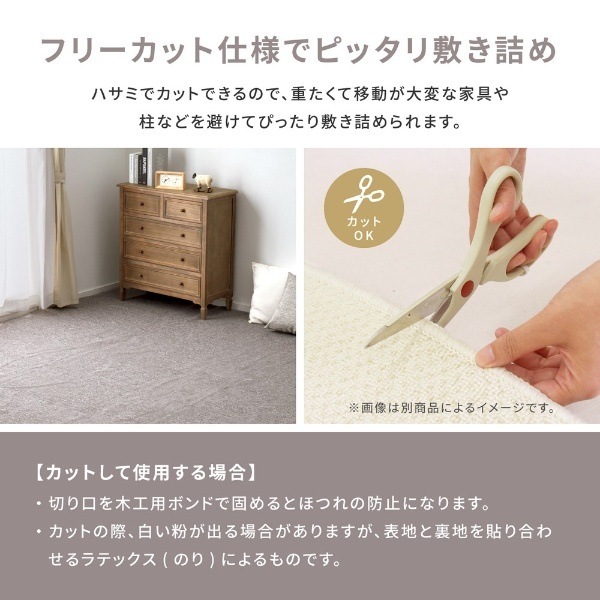 �����ڥå� �ɱ�ù���ʿ�������ڥå� �⡼���� ���ʹ�8ġ 352��352cm �١����������̵��(�̳�ƻ�����졦Υ�����)��