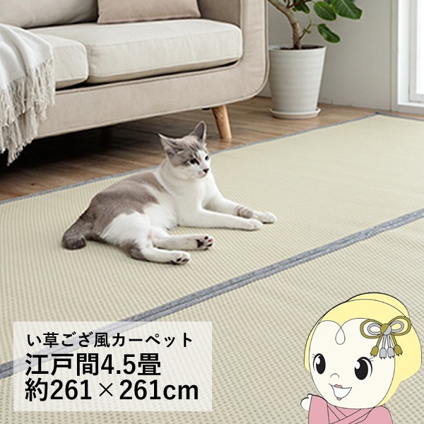 洗える ござ 日本製 国産 カーペット リバーシブル 丈夫 除菌