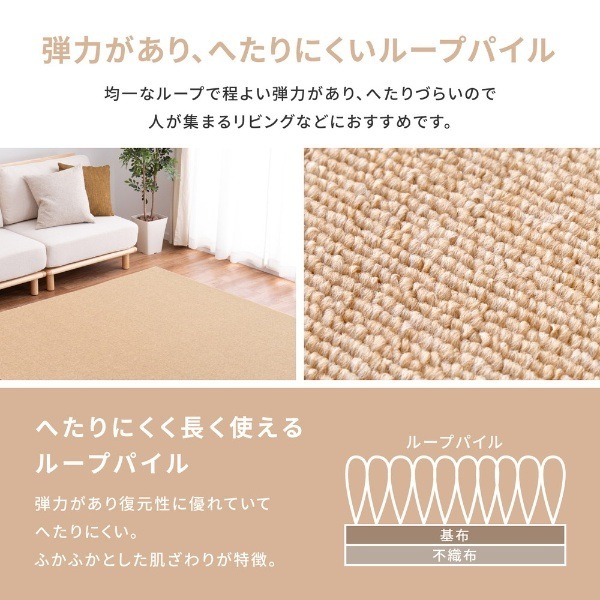 �����ڥå� �ɱ�ù���ʿ�������ڥå� �⡼���� ���ʹ�2ġ 176��176cm �١����������̵��(�̳�ƻ�����졦Υ�����)��