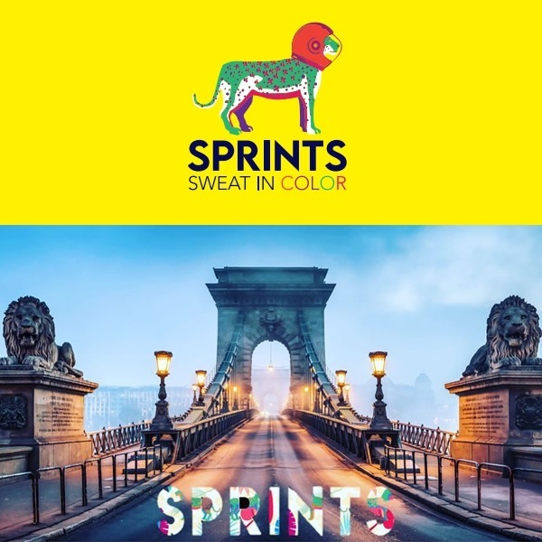 ߸˸¤ꡡ̵(졦̳ƻΥ)SPRINTS ץ ˥󥰥å O.G.Hats ϥå Flamingo ˹ ˥å ǥ 