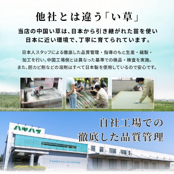 ��Ǽ�� ���夬��� 60��60cm �⤵45cm ���դ���Ǽ���ġ��� ������ �����ġ��� �٥�� ���٥å� ��Ǽ���ġ��� ��Ǽ�ܥå��� ���� �븶 �ʥ����������̵��(�̳�ƻ�����졦Υ�����)��