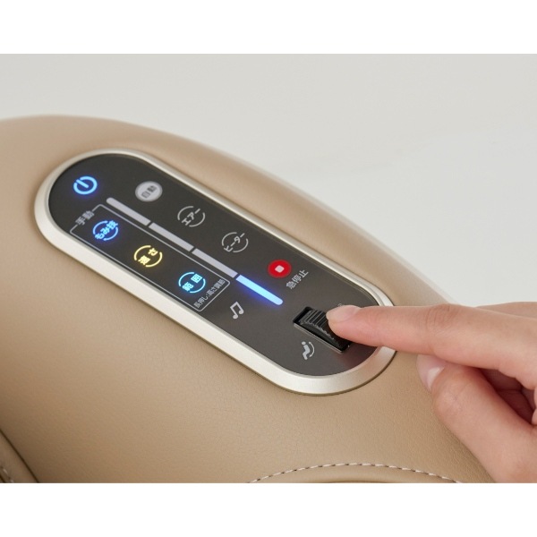 取り寄せ：入荷目安5～10営業日】マッサージチェア 【設置込】 フジ