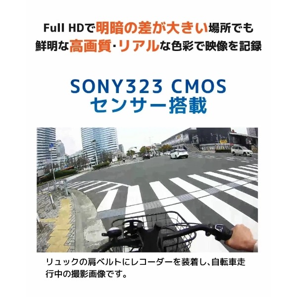 ��ž�֥ɥ饤�֥쥳������ �������ƥ�������� ��˥ե����� Finetech ���ե�Х���쥳������ V6 64GB Type-C  FT-V6-X064C������̵��(�̳�ƻ�����졦Υ�����)��