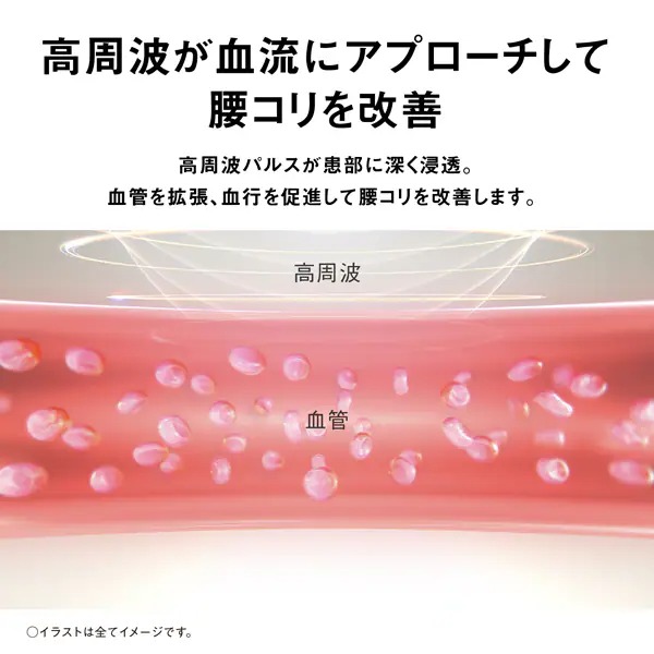 �߸ˤ��ꡡ�� �ޥå������� �ѥʥ��˥å� ���ꥳ���磻��3D ������ ����ȼ��Ŵ� �֥�å� ���� ���ä���� �ץ쥼��� ����� EW-RA561-K������̵��(�̳�ƻ�����졦Υ�����)��