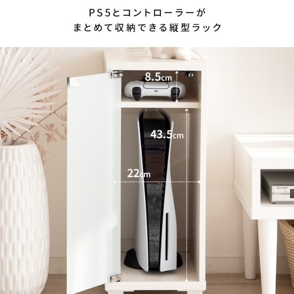 ゲーム機ラック REGABO レガボ PS5対応 おしゃれ ゲーム機収納