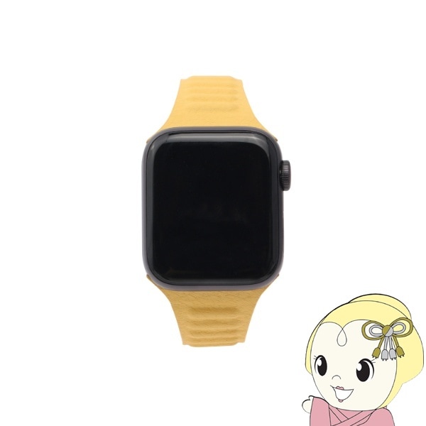 WEARPLANET Apple Watch 41 40 38mm用Slim Line マグネットリンク