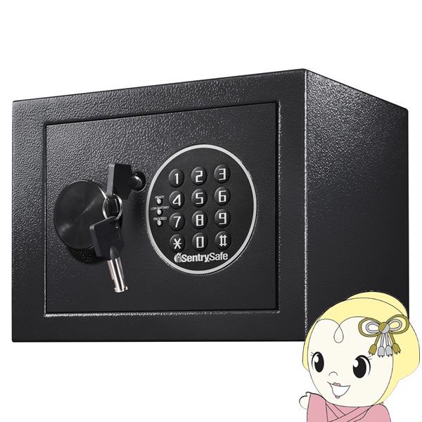 セントリー 金庫 Sentry Security Safe X075 テンキー式