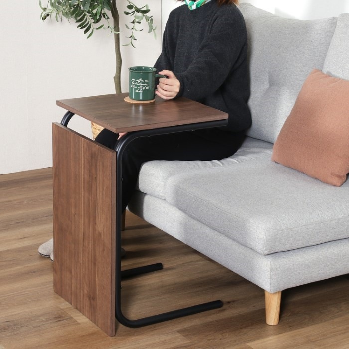 ̵(졦̳ƻΥ)ɥơ֥ 2WAY λ  ߥǥ֥饦 EZBO  ǰ