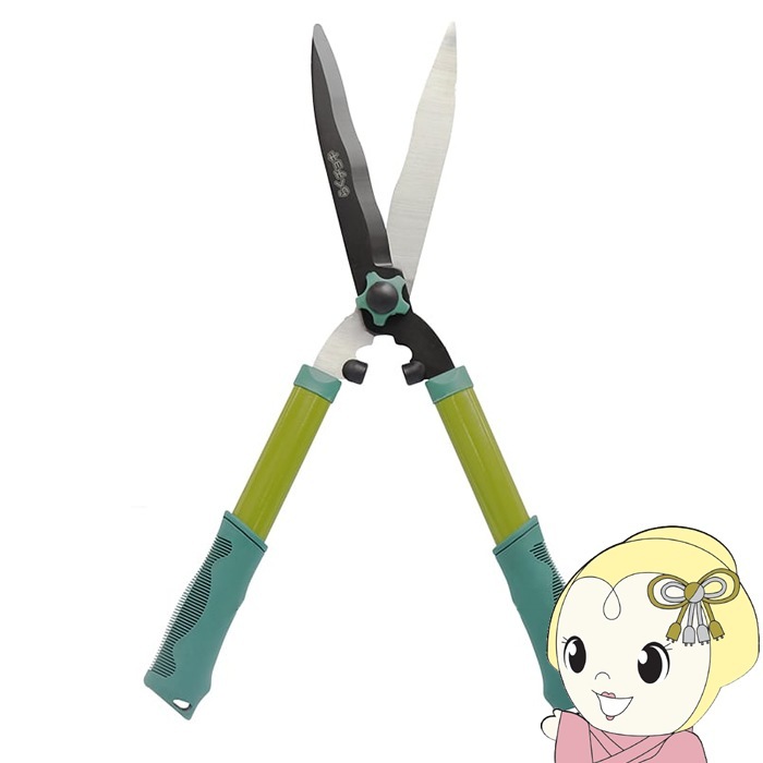 ヒムロスギ☆希少ロングカット40cm40本‼️宅配発送‼️ 刈込みバサミ らくチョキ 生垣 園芸 庭のお手入れ マクロス MCZ-231