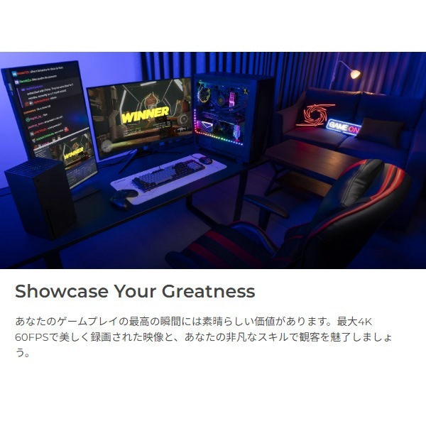 AverMedia キャプチャーボード LIVE GAMER 4K 2.1 GC575【送料無料