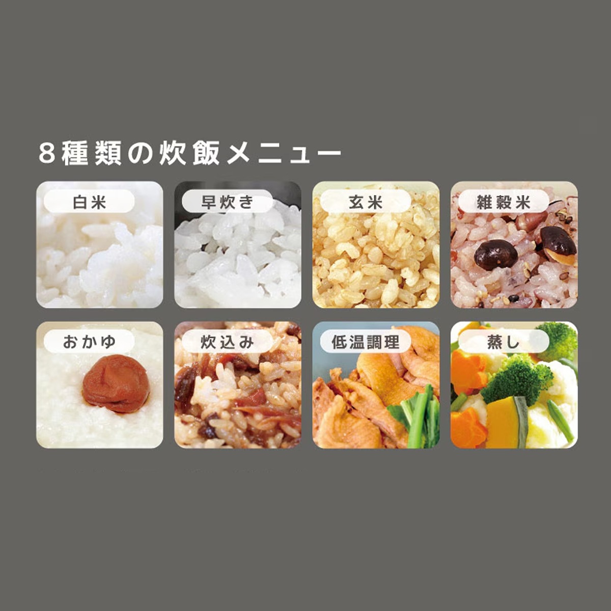 在庫あり 炊飯器 一升炊き 10合 VERSOS ベルソス マイコン炊飯器 