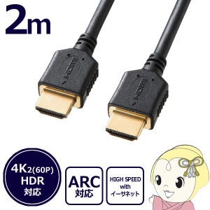 (まとめ)サンワサプライ HDMI-DVIケーブル(2m) KM-HD21-20〔×2セット〕 SANWA SUPPLY HDMI延長ケーブル 2m（KM-HD20-UEN20） : サンワ