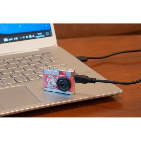 取り寄せ：入荷目安5～10営業日】ケンコー Kenko DSC-PIENI PN