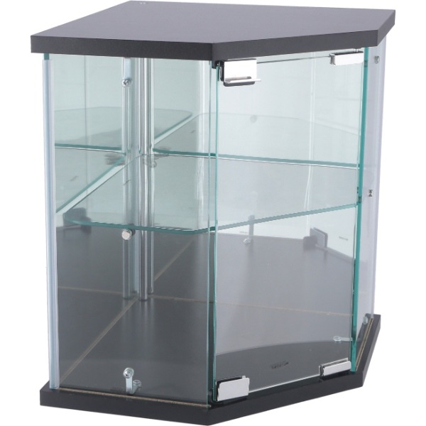 卓上ガラスコレクションケース コーナー フィギアケース 2段 背面