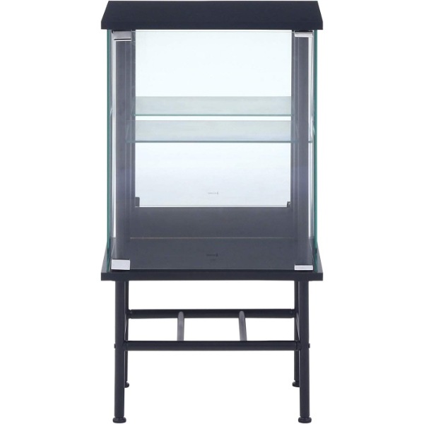 コレクションケース フィギュアケース 2段 幅48.6×奥行38.2×高さ88.8cm