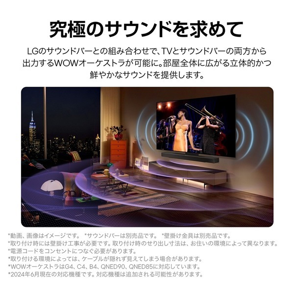 取り寄せ：入荷目安3～5営業日】有機ELテレビ LGエレクトロニクス 55