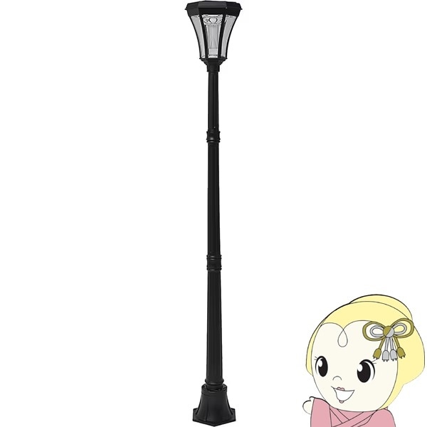 ビートガーデン 61Ewyd0gqAL._UF350,350_QL80_.jpg