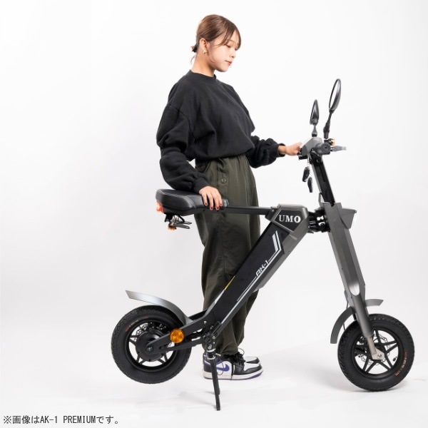 電動バイク 原付バイク 公道走行可 EV 折りたたみ電動スクーター AK-1