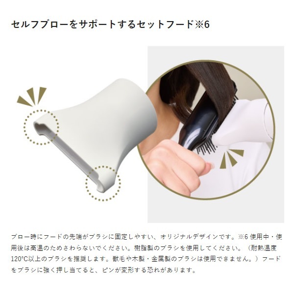 プロフェッショナル プロテクトイオンヘアードライヤー テスコム