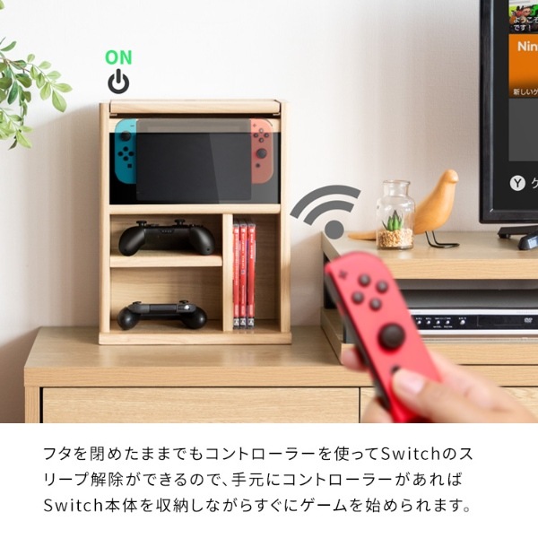 ゲーム機ラック デザイナーズゲームラック Switch収納 任天堂