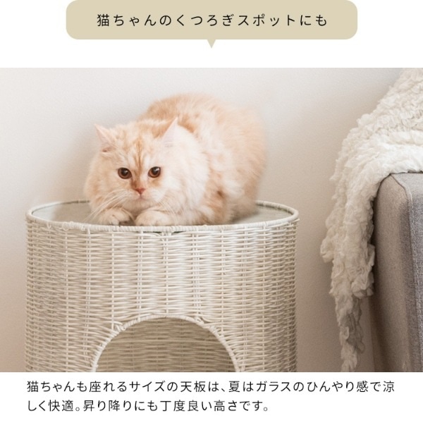 送料無料(沖縄・北海道・離島除く)□サイドテーブル 猫用 犬用 ペット