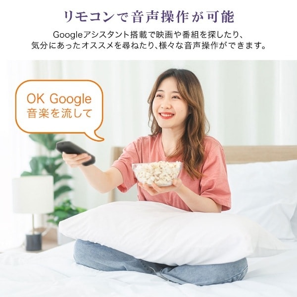 24型MAXZENマクスゼン MV24CH06 アンテナ線付2025年製 J24CH06｜maxzen（マクスゼン）