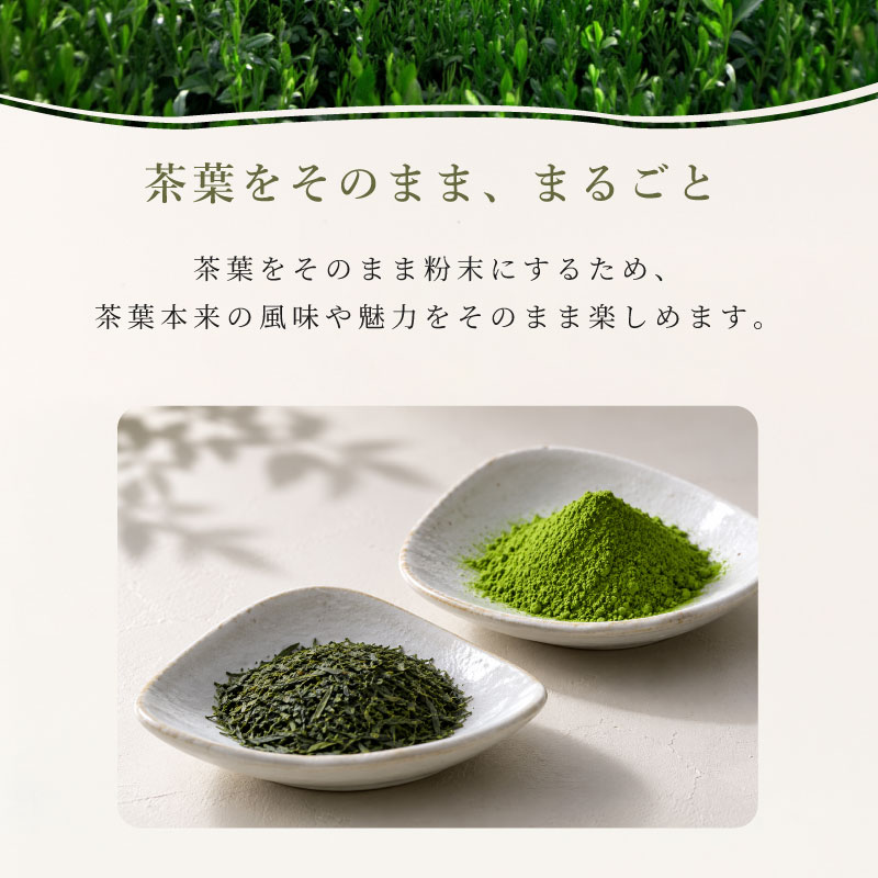 宇治抹茶  2缶セット 黒缶 白缶  40g×2  清泉園本店