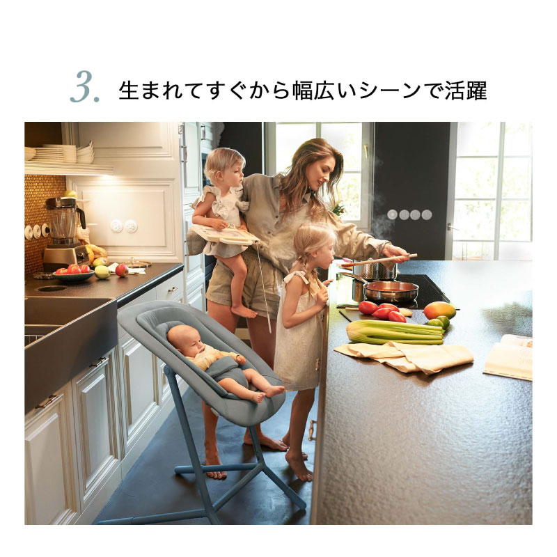 サイベックス レモ3-IN-1