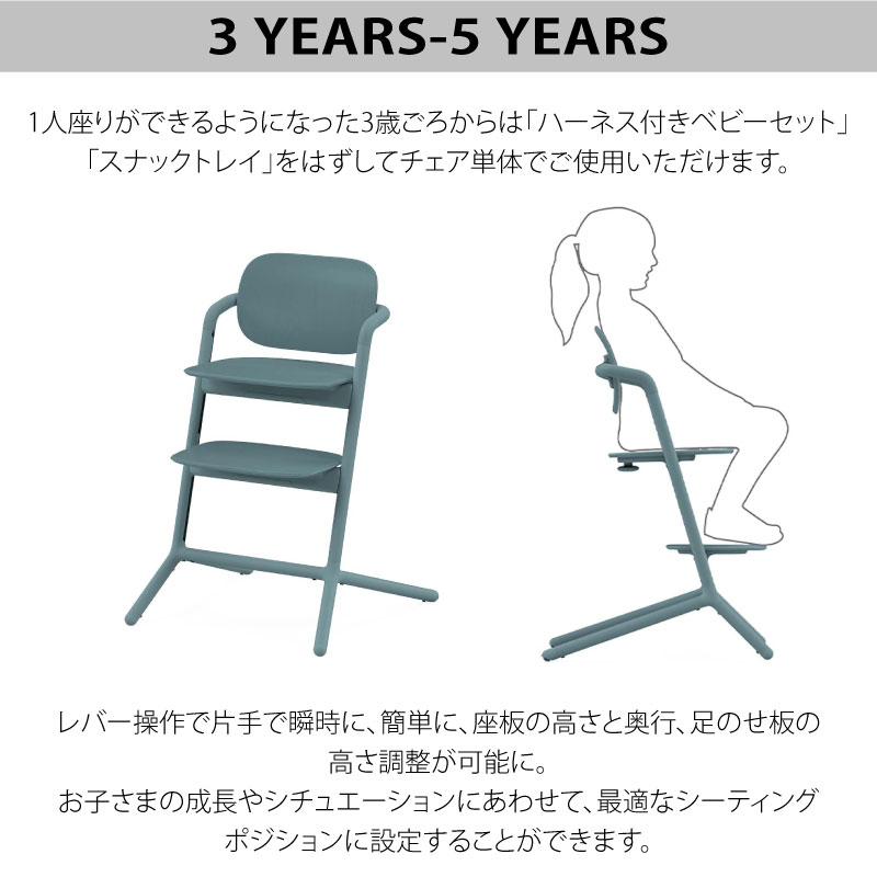 サイベックス レモチェア