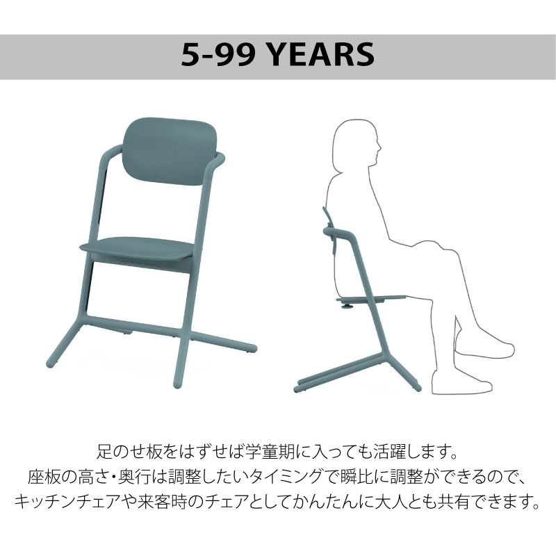 サイベックス レモチェア