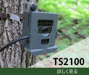 佪λˡƻ륫 TS2100ѵTS2400Ǥ
