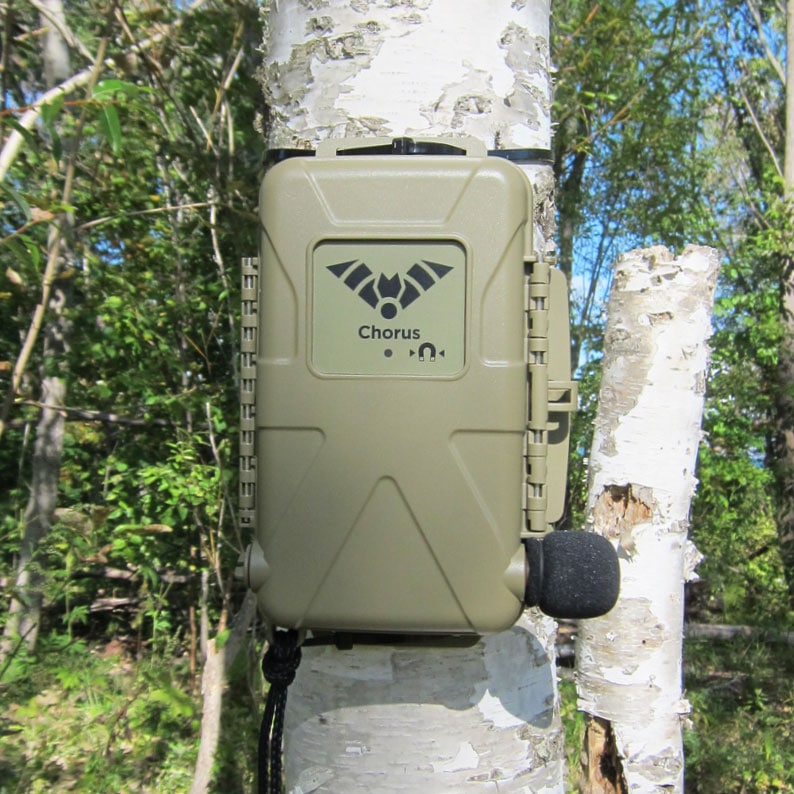 音響・超音波レコーダーChorus（コーラス） ｜GIShop (ジーアイショップ)