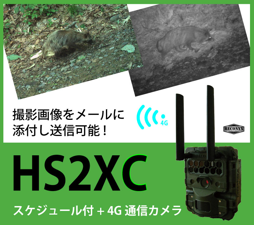 Reconyxʥ쥳˥HS2XC塼4G̿ưƥʥ󥵡