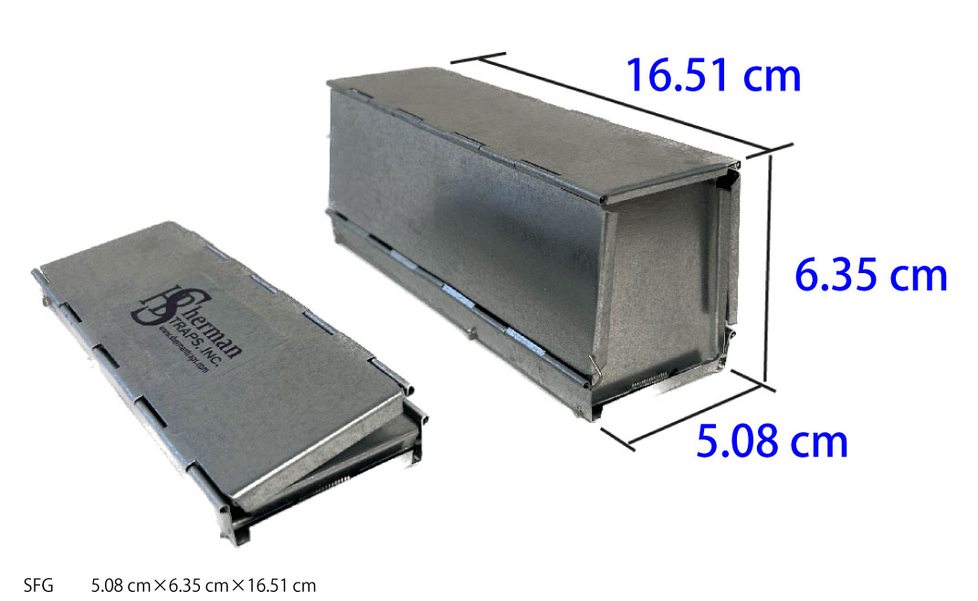 ��100�İʾ太���󤻾��ʡ�SFG���ޤꤿ�������櫡����㡼�ޥ�ȥ�å�