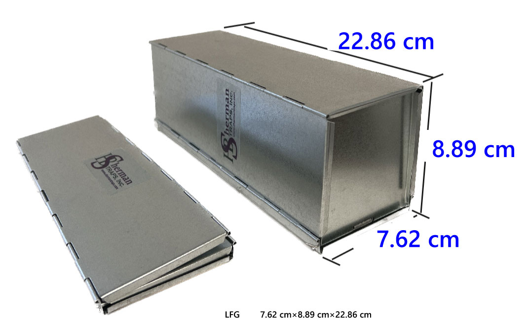 ��100�İʾ太���󤻾��ʡ�LFG���ޤꤿ�������櫡����㡼�ޥ�ȥ�å�