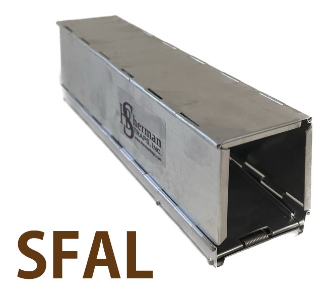 100İʾ太󤻾ʡSFALޤꤿ櫡㡼ޥȥå