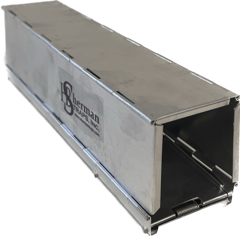 100İʾ太󤻾ʡSFALޤꤿ櫡㡼ޥȥå