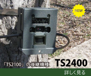 ˡƻ륫 TS2400