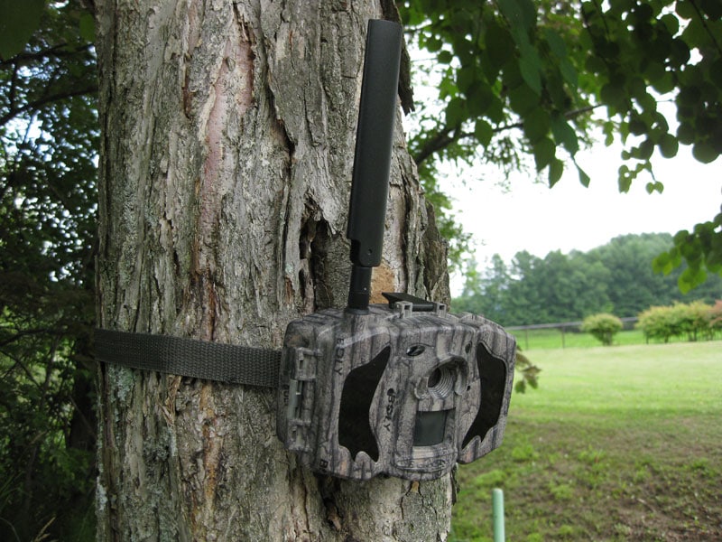 [ܼ] TREL(ȥ)4G-HM å㡡ܸǥ4Gͥåȥ(󥵡)(ࡼӡ)