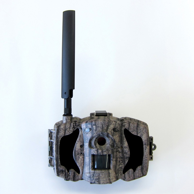 [ܼ] TREL(ȥ)4G-HM å㡡ܸǥ4Gͥåȥ(󥵡)(ࡼӡ)