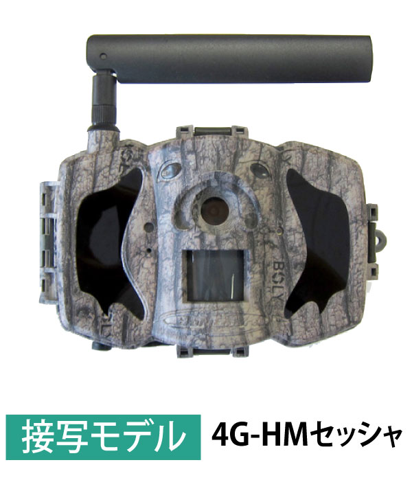 [ܼ] TREL(ȥ)4G-HM å㡡ܸǥ4Gͥåȥ(󥵡)(ࡼӡ)