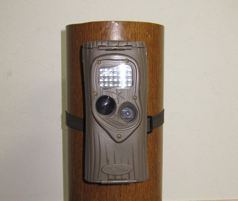 �ڥ����ȥ�åȡۥ��ߡ������ �����Ĥ�M��[31-002]