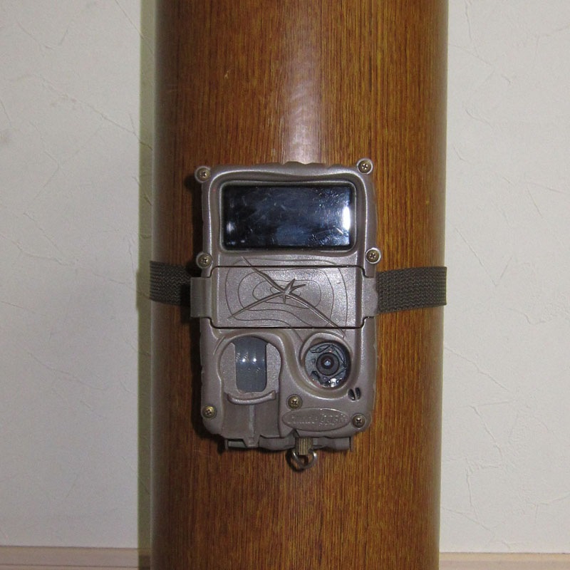 �ڥ����ȥ�åȡۥ��ߡ������ �����Ĥ�֥�å���[31-003]