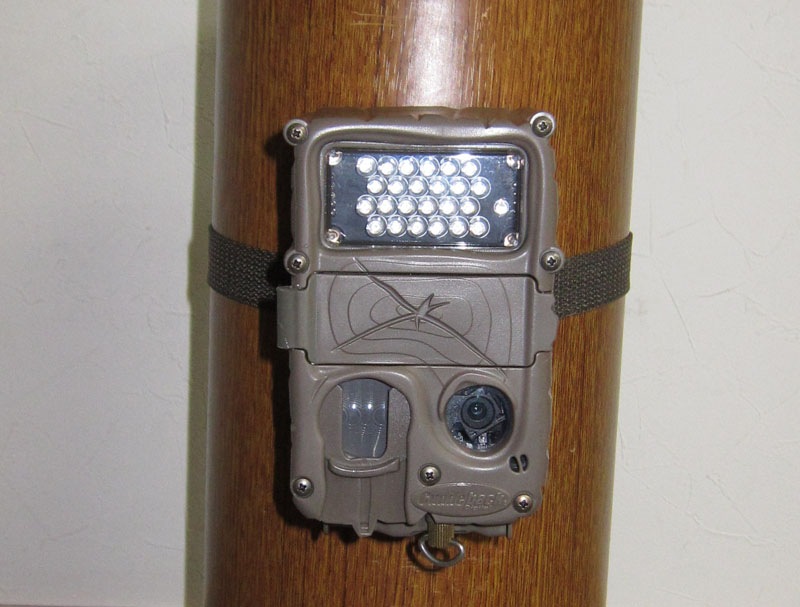 �ڥ����ȥ�åȡۥ��ߡ������ �����Ĥ襳�ĥ֡�[31-005]