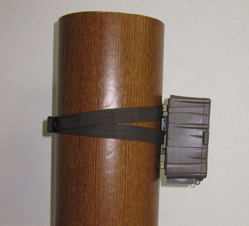 �ڥ����ȥ�åȡۥ��ߡ������ �����Ĥ襳�ĥ֡�[31-005]