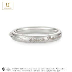 ڥϥ꡼ݥåHarry Potter Ring С