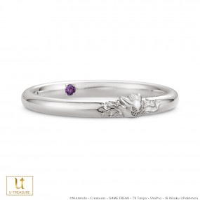 ڥݥۥ󥬡  ѡץVer. С 