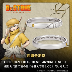 TV˥Dr.STONEס å  С