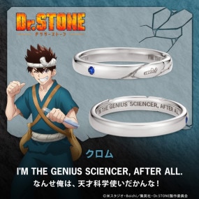 TV˥Dr.STONEס å  С